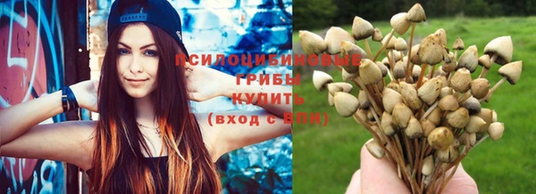 крисы Алексин