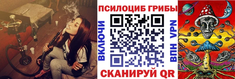 Псилоцибиновые грибы Psilocybe  Юрьев-Польский 